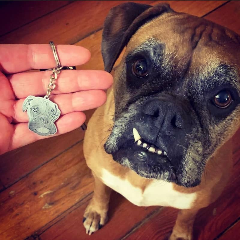 The image shows a close-up of a brown dog with a unique underbite, sitting on a wooden floor. In the foreground, a hand is holding a keychain with a charm that features an illustration resembling the dog's face. The dog is looking directly at the camera with an attentive expression.