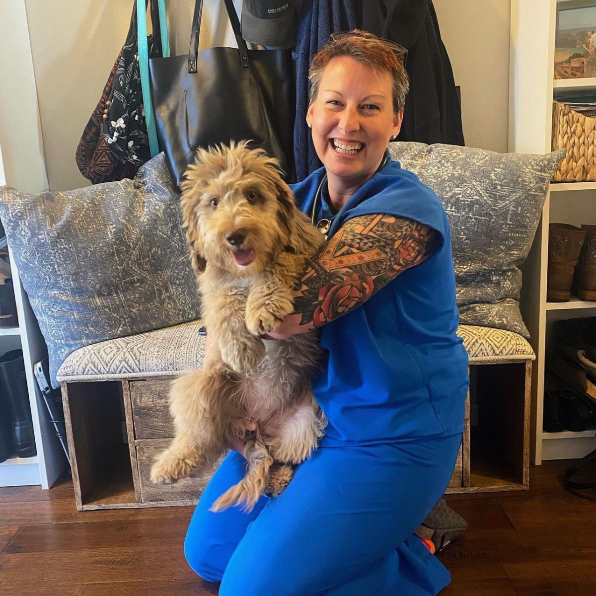 vet holding a small dog