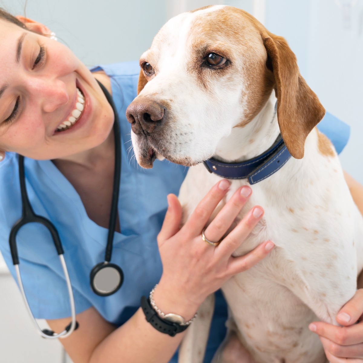 A vet is smiling while playing with a dog